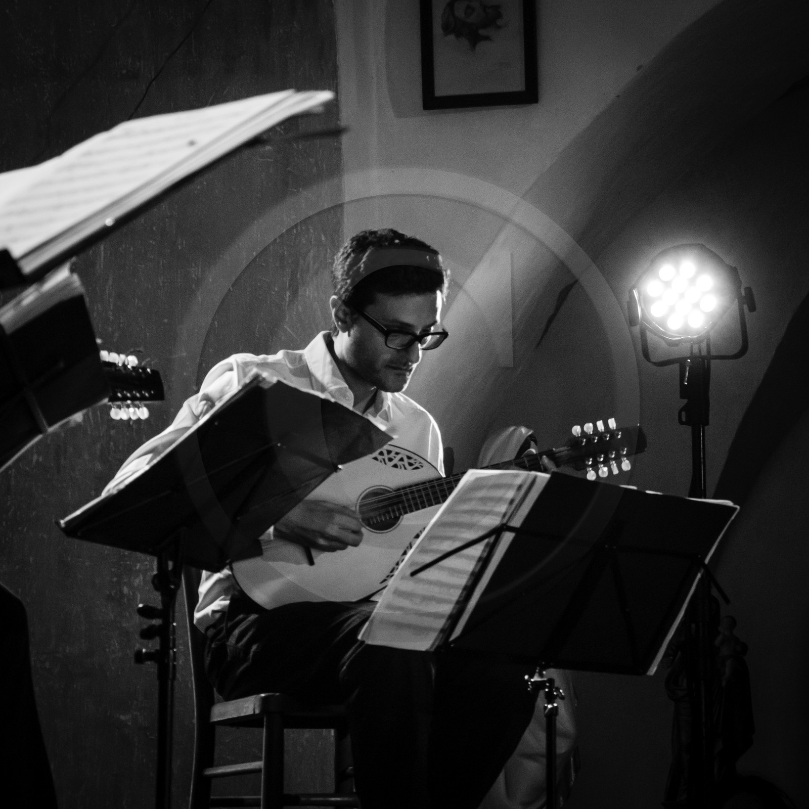 Le Kerman Mandolin Quartet