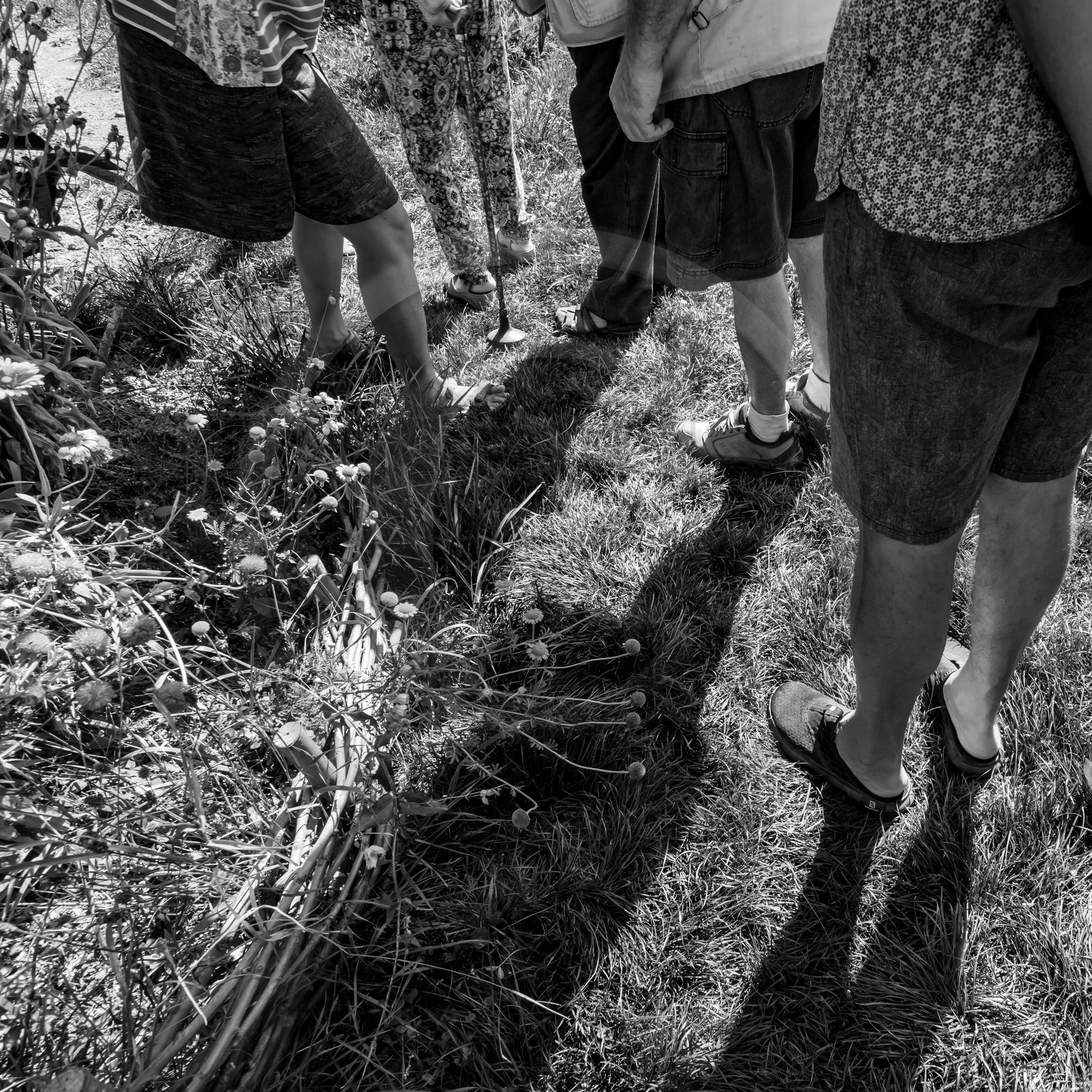 16 août 2021 : Journée des aidants