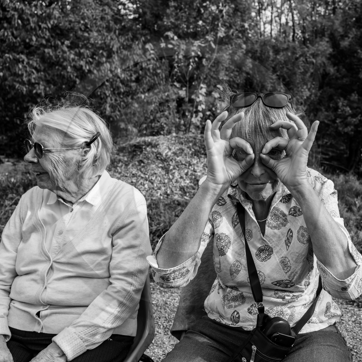 19 octobre 2022 : jeux photographiques