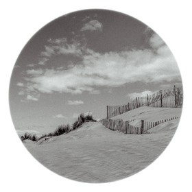 Les instants Camargue