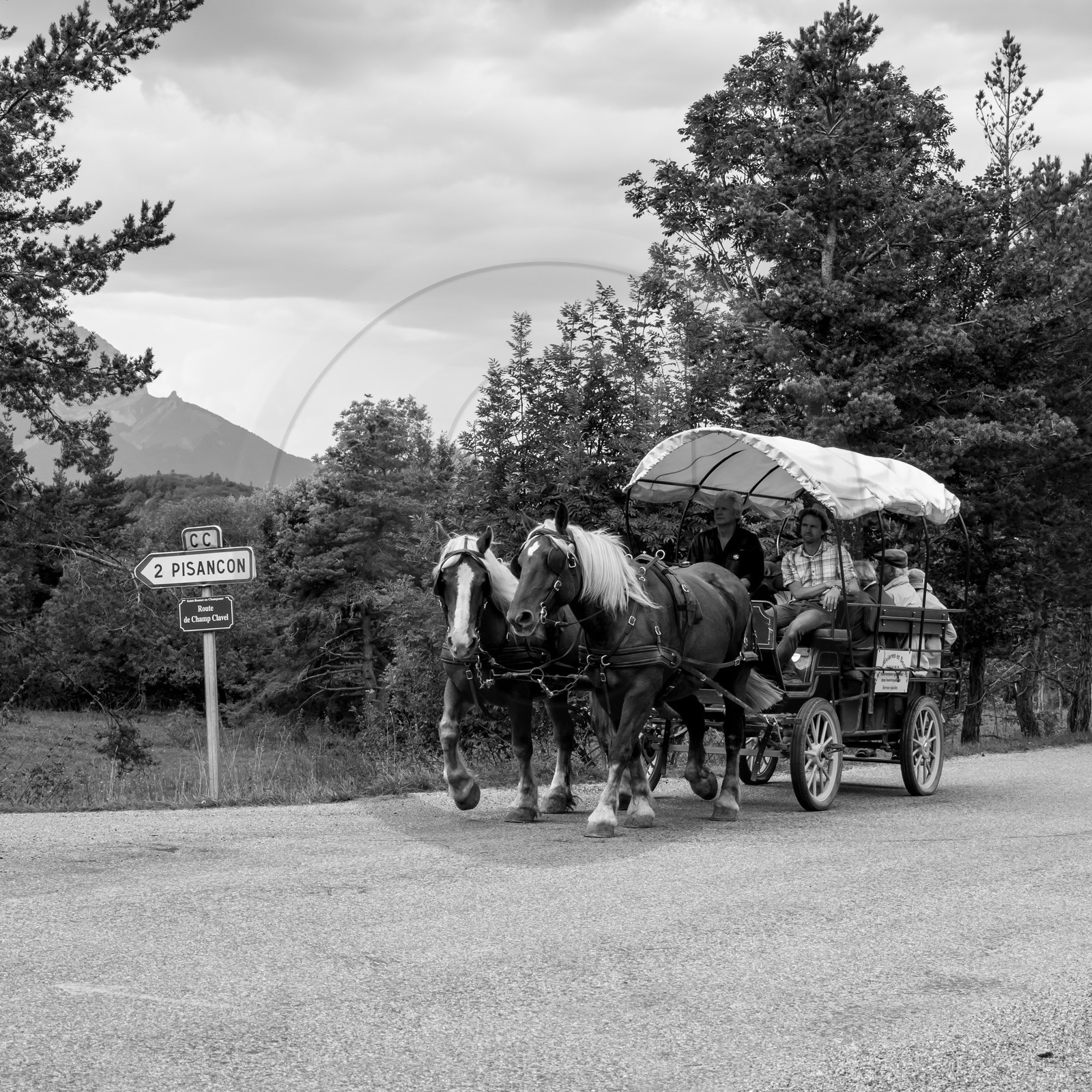 Promenade en calèche et contes