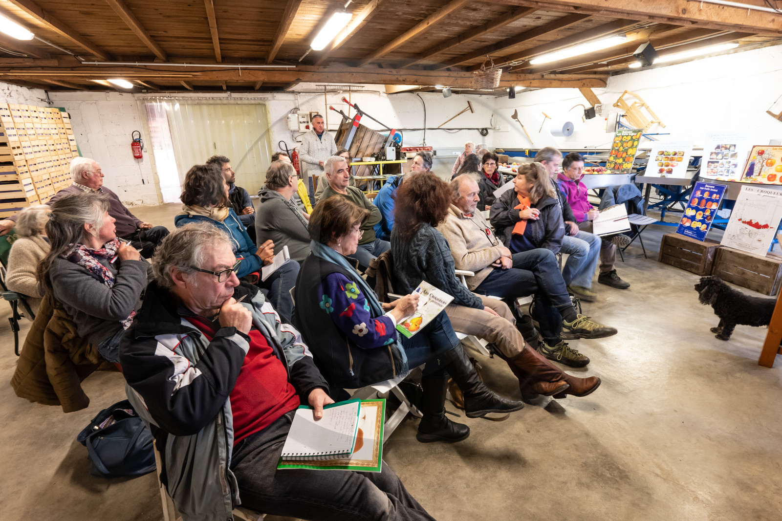 Croqueurs de pommes des Alpes Latines
