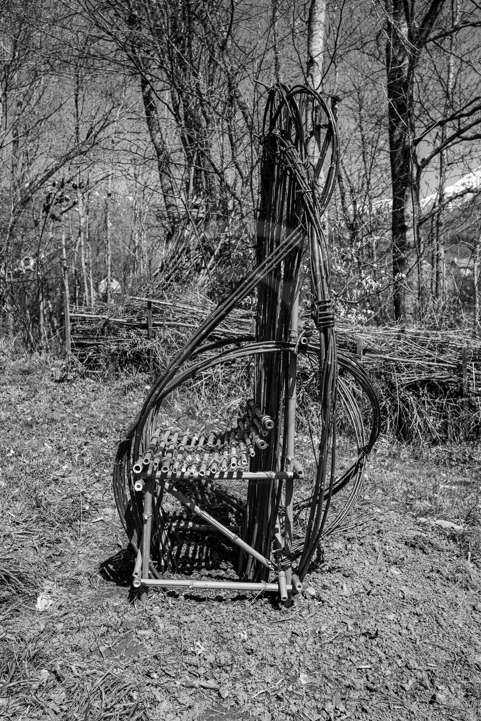 10 avril 2024 : Osier, laine et taille