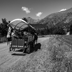 01 septembre 2021 : Promenade en cariole et contes