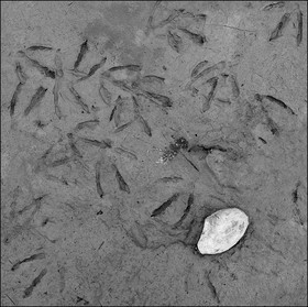 Serre-Ponçon, basses eaux