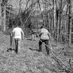 Nettoyage du terrain - Coupe du bois - 29 03 17