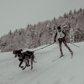 La Valgaude Traineau 2015