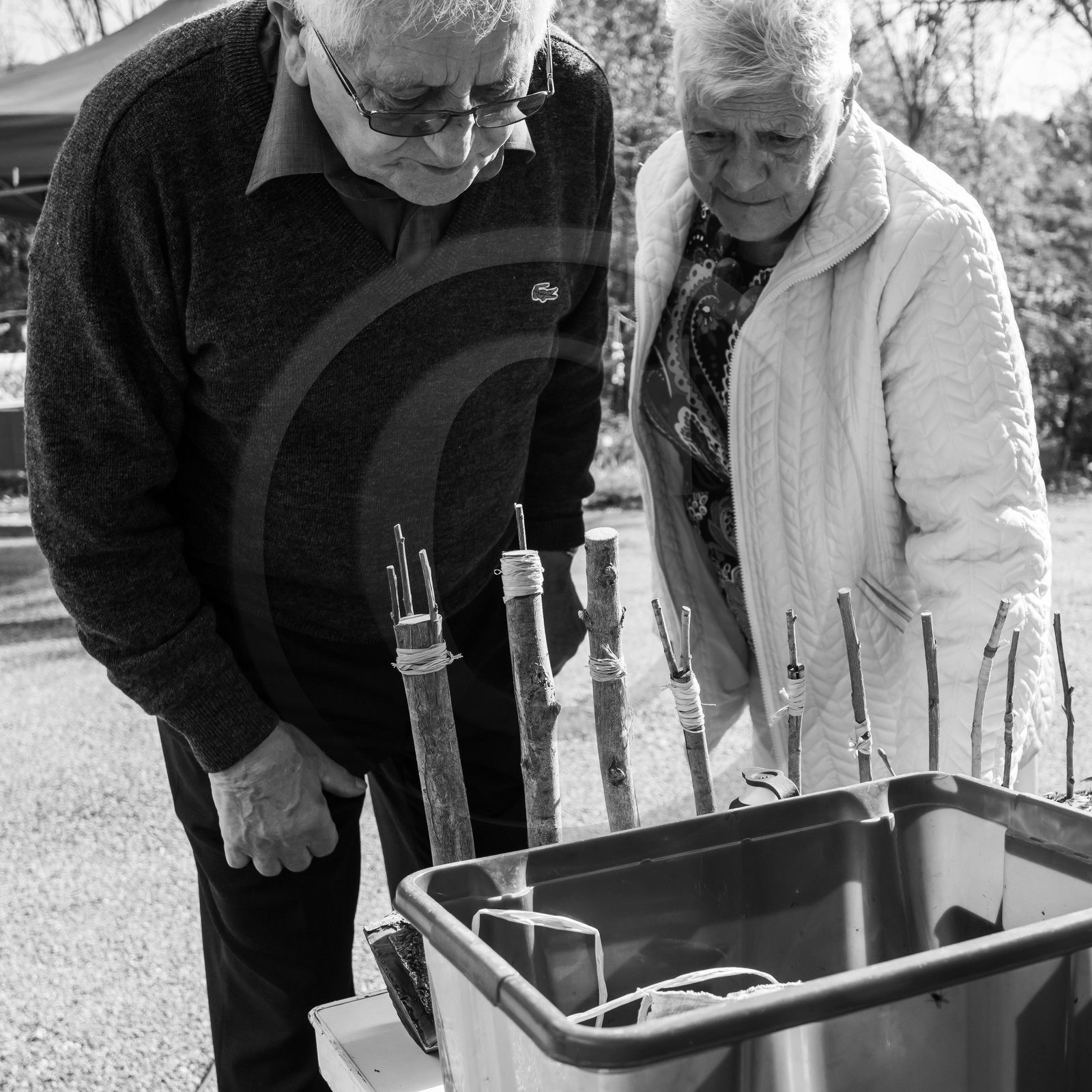 27 octobre 2019 : pommes, soupes et gâteaux