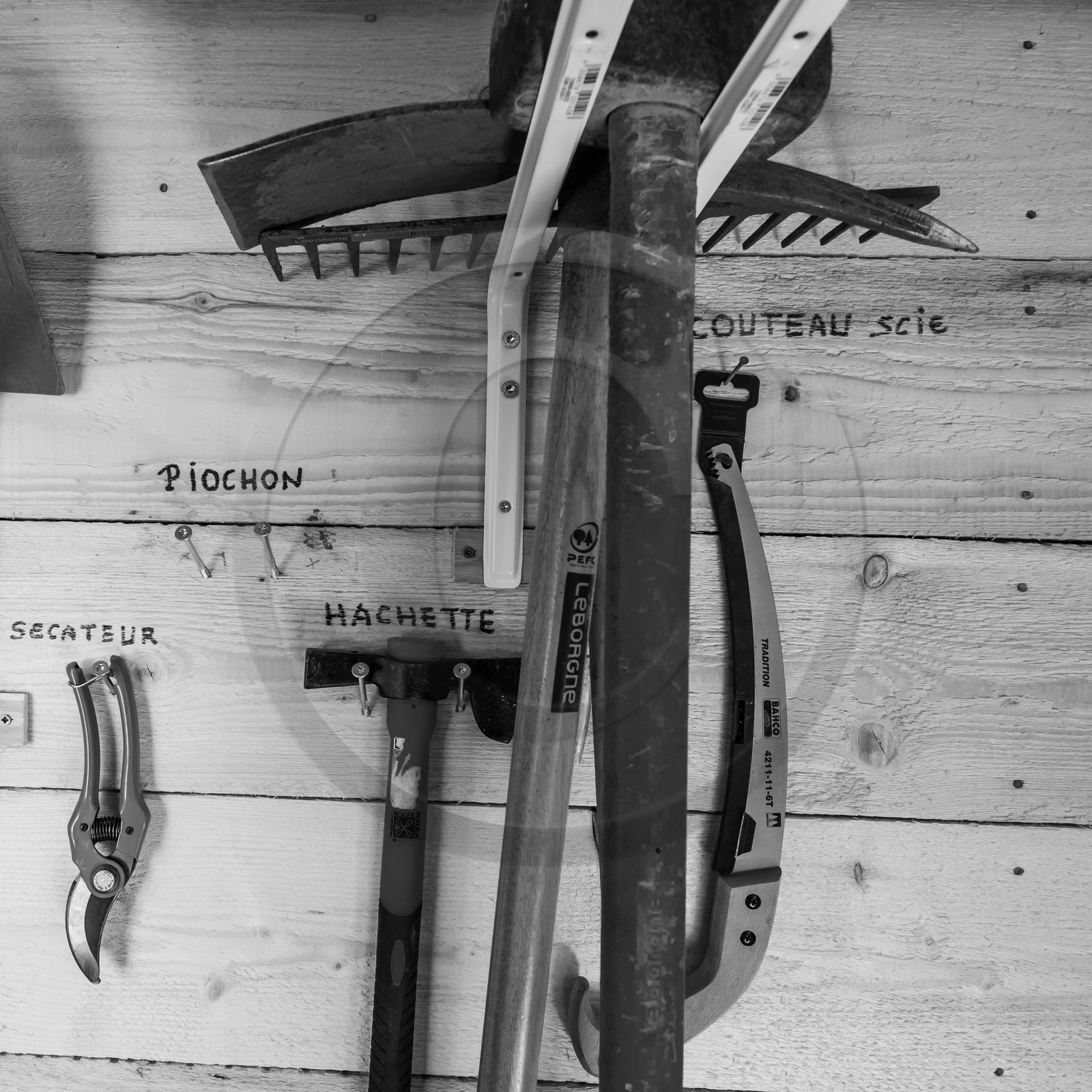 20 mars 2018 : une après-midi au jardin