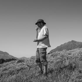 Les moissons dans le Champsaur