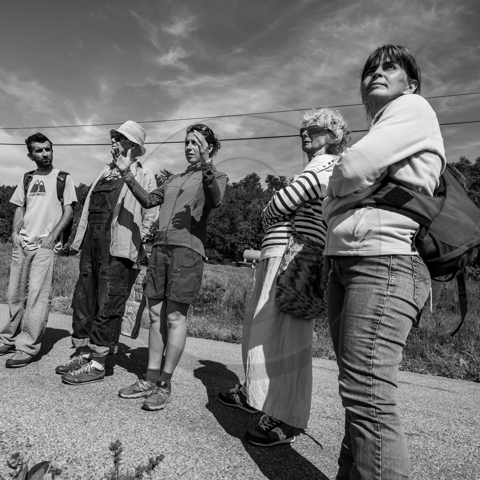 06 juin 2021 : Vide-Jardin et peinture végétale