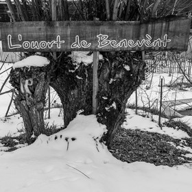 21 janvier 2021 : l'Ouort sous la neige