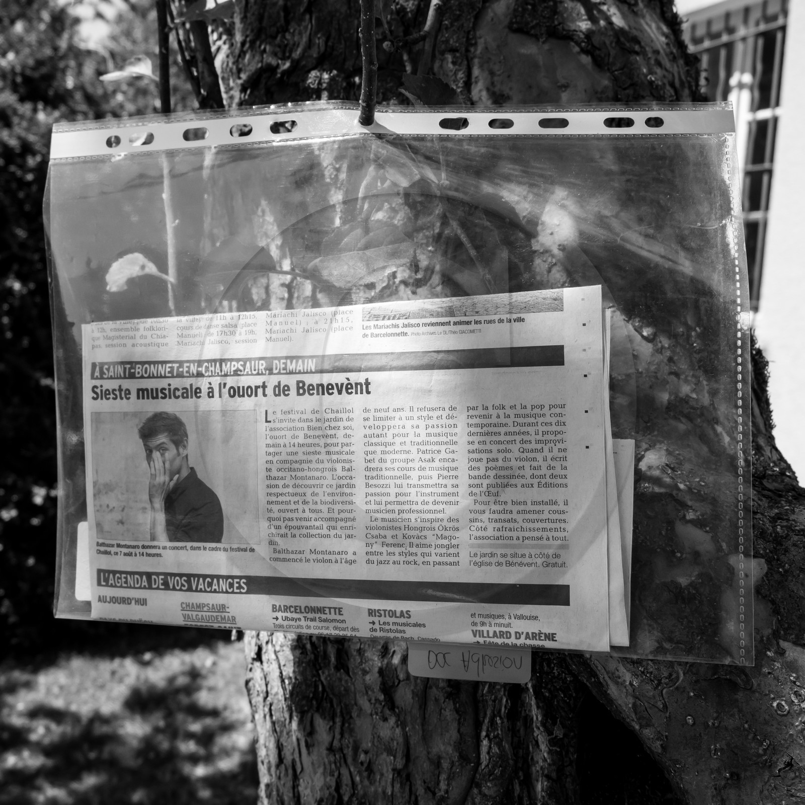 07 août 2017 - Sieste Musicale