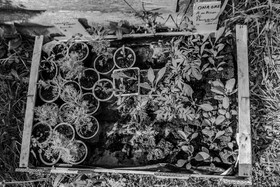 18 mai 2025 : VIde-Jardin et Marché de Créateurs