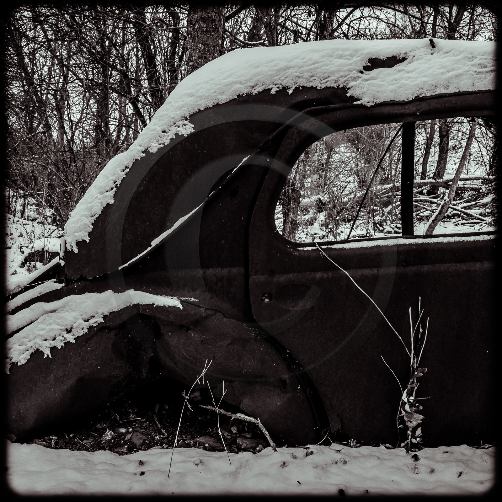Un cimetière de voitures