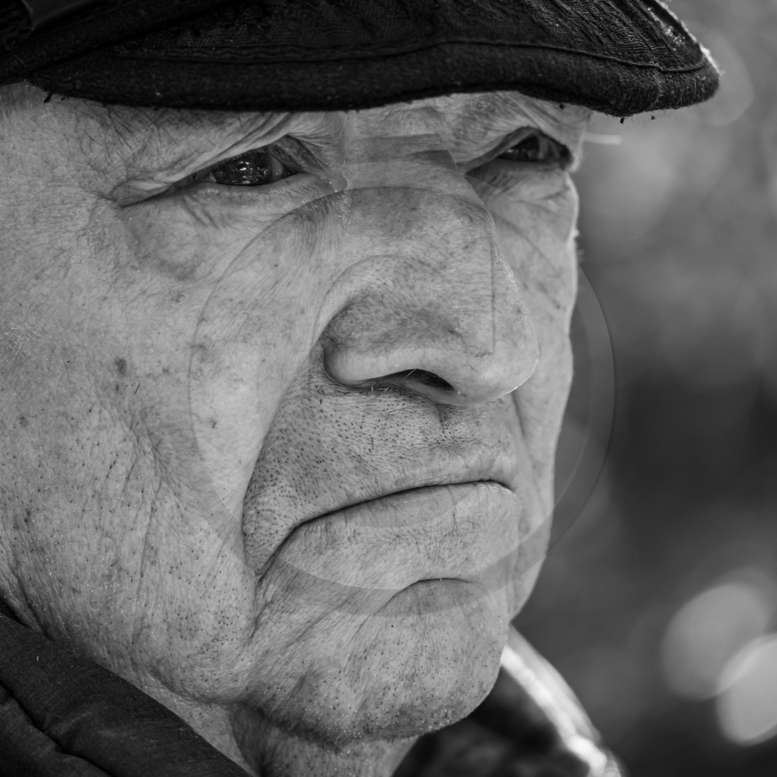 23 octobre 2024 : Echanges, bilans, perspectives