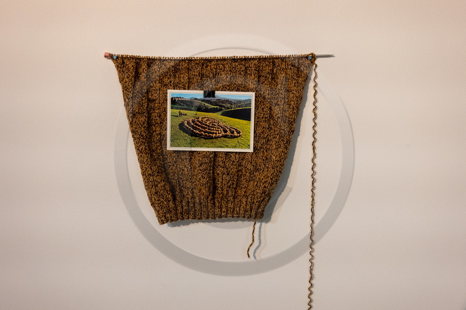 Expositions à la maison du Berger - Champoléon