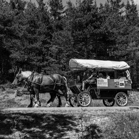 01 septembre 2021 : Promenade en cariole et contes