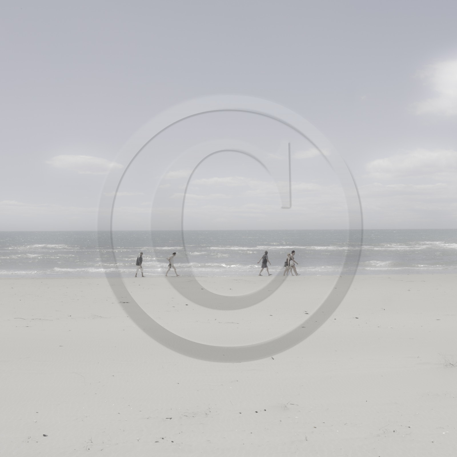 Camargue couleur pastel