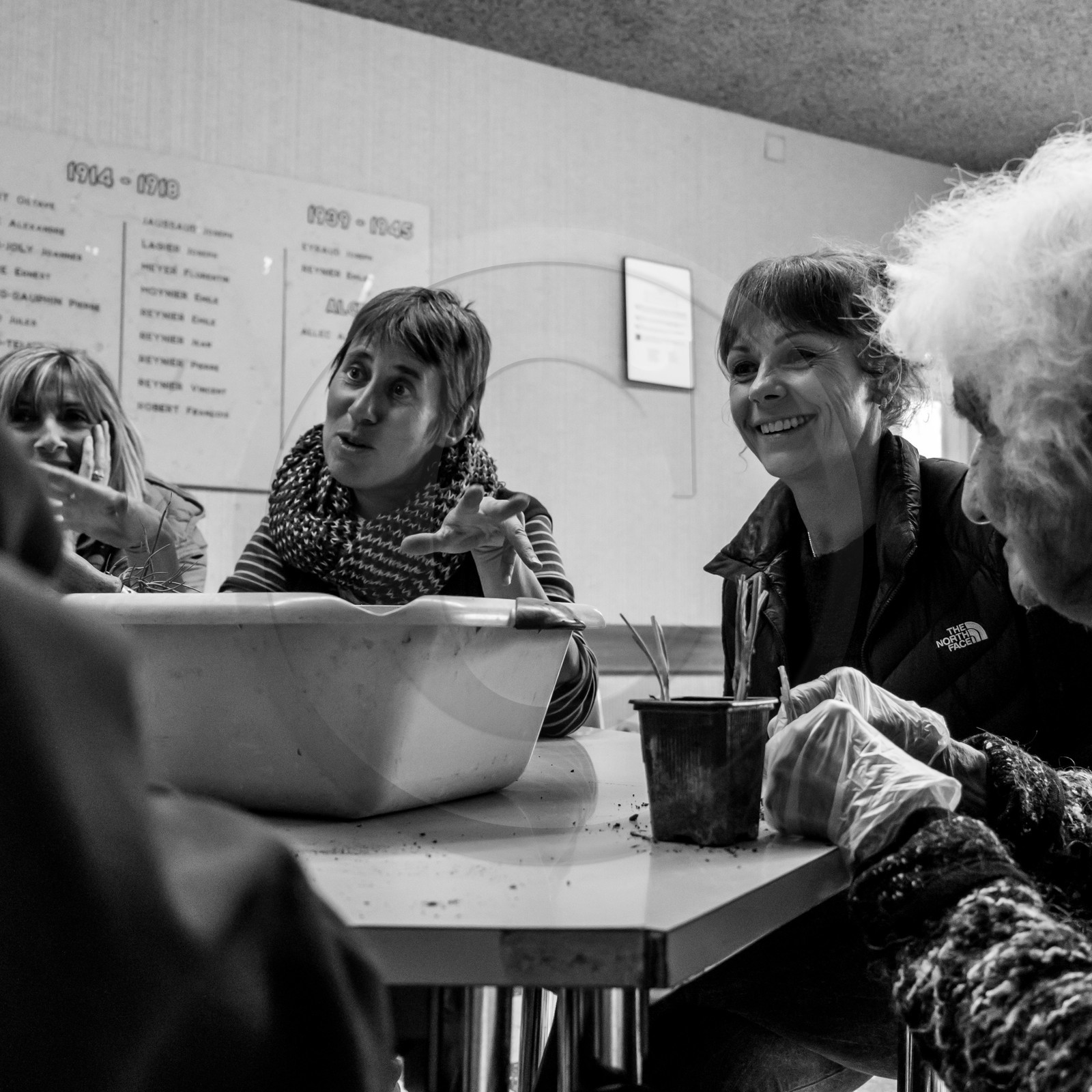 Atelier repiquage de plants de ciboulettes - 05 04 2017