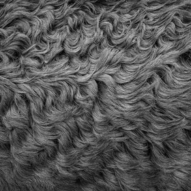 L'asinerie Le sentier des ânes