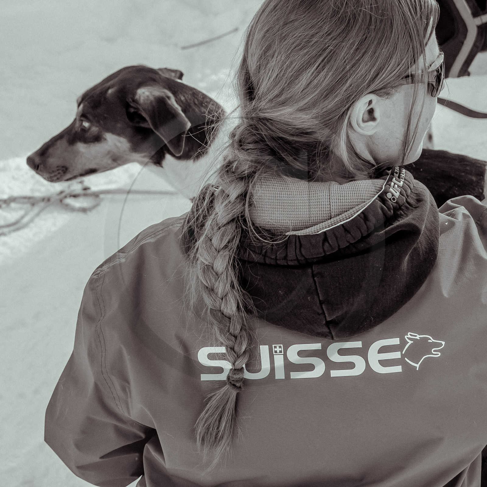 La Valgaude Traineau 2015