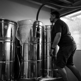 L'extraction du miel