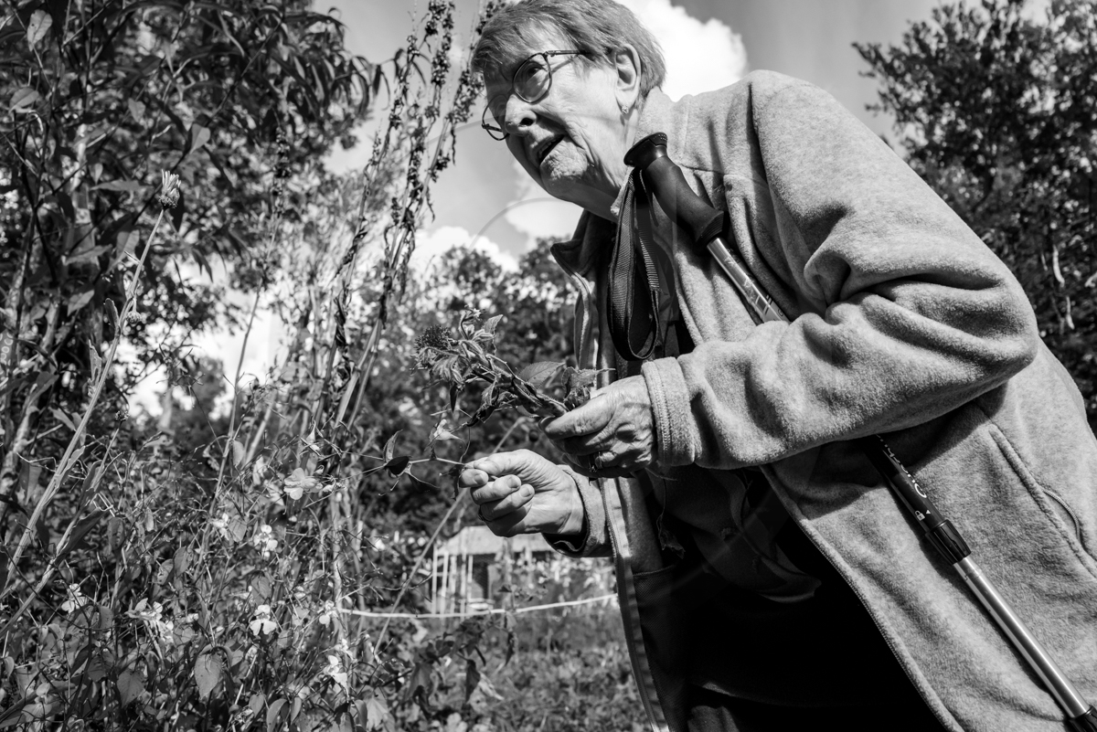 12 octobre 2022 : Land Art à l'Ouort