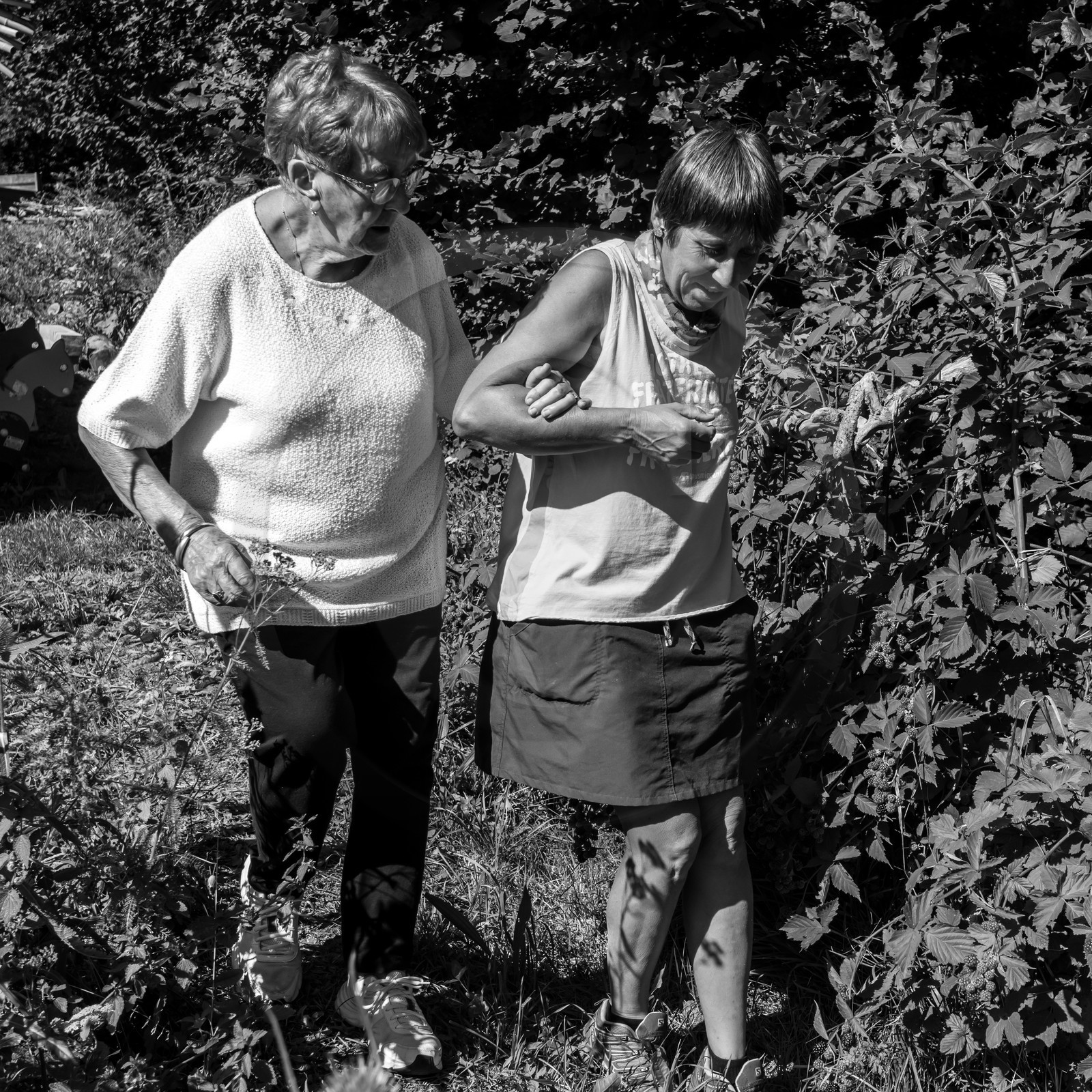 Activités au jardin