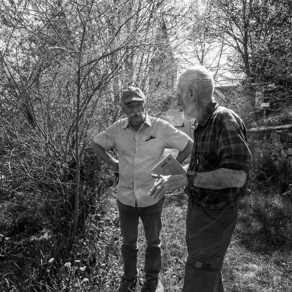 Atelier laine et promenade au jardin
