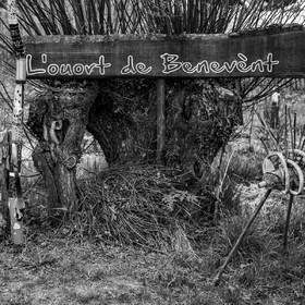 20 avril 2022 : des contes, des pommes de terre et un petit café