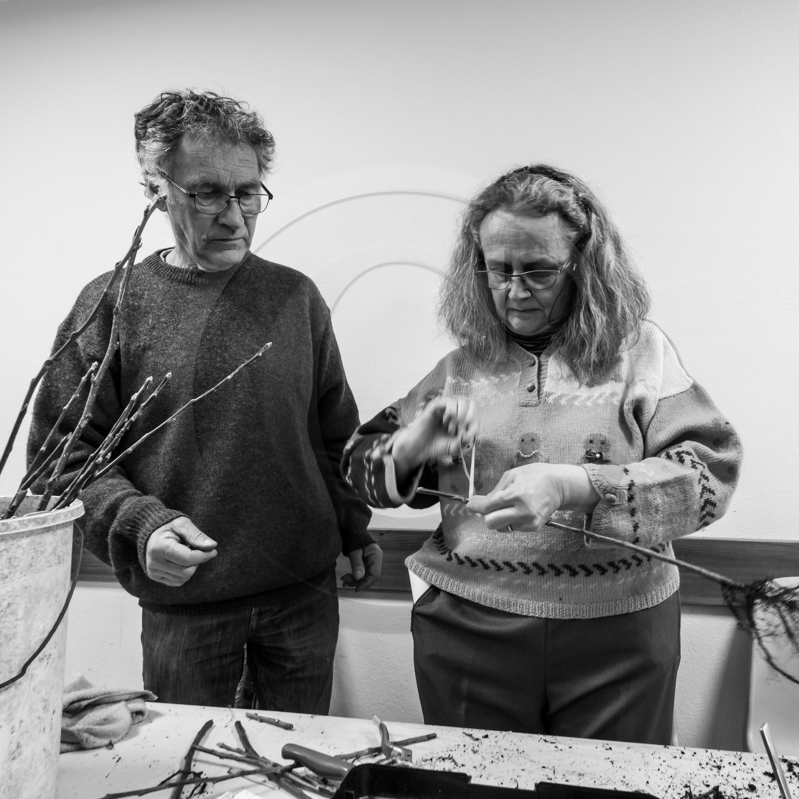 03 avril 2019 : Initiation à la greffe d'arbres fruitiers