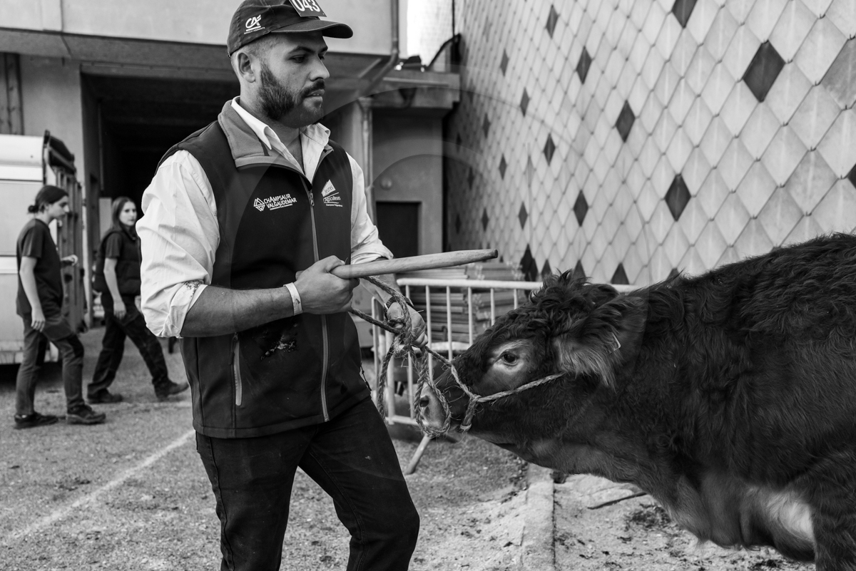 Rencontres paysannes à Saint-Bonnet en Champsaur
