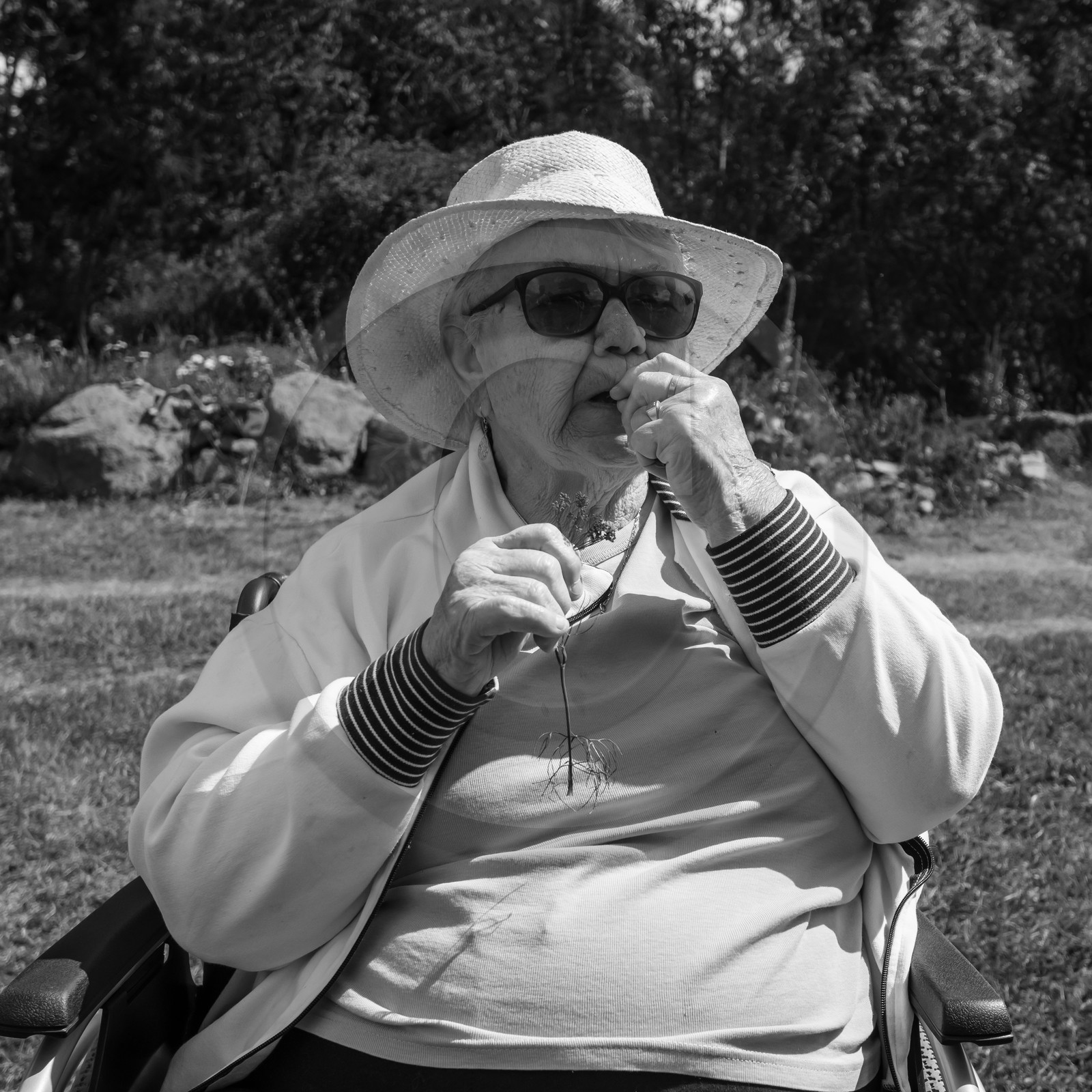 04 septembre 2019 : Visite au jardin des Hautes Terres