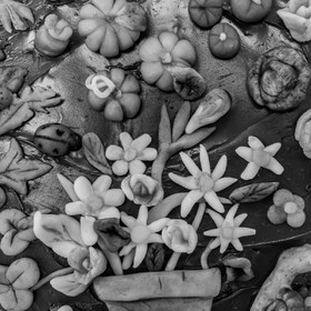 18 mai 2022 : Atelier créatif avec Claudine Meyer