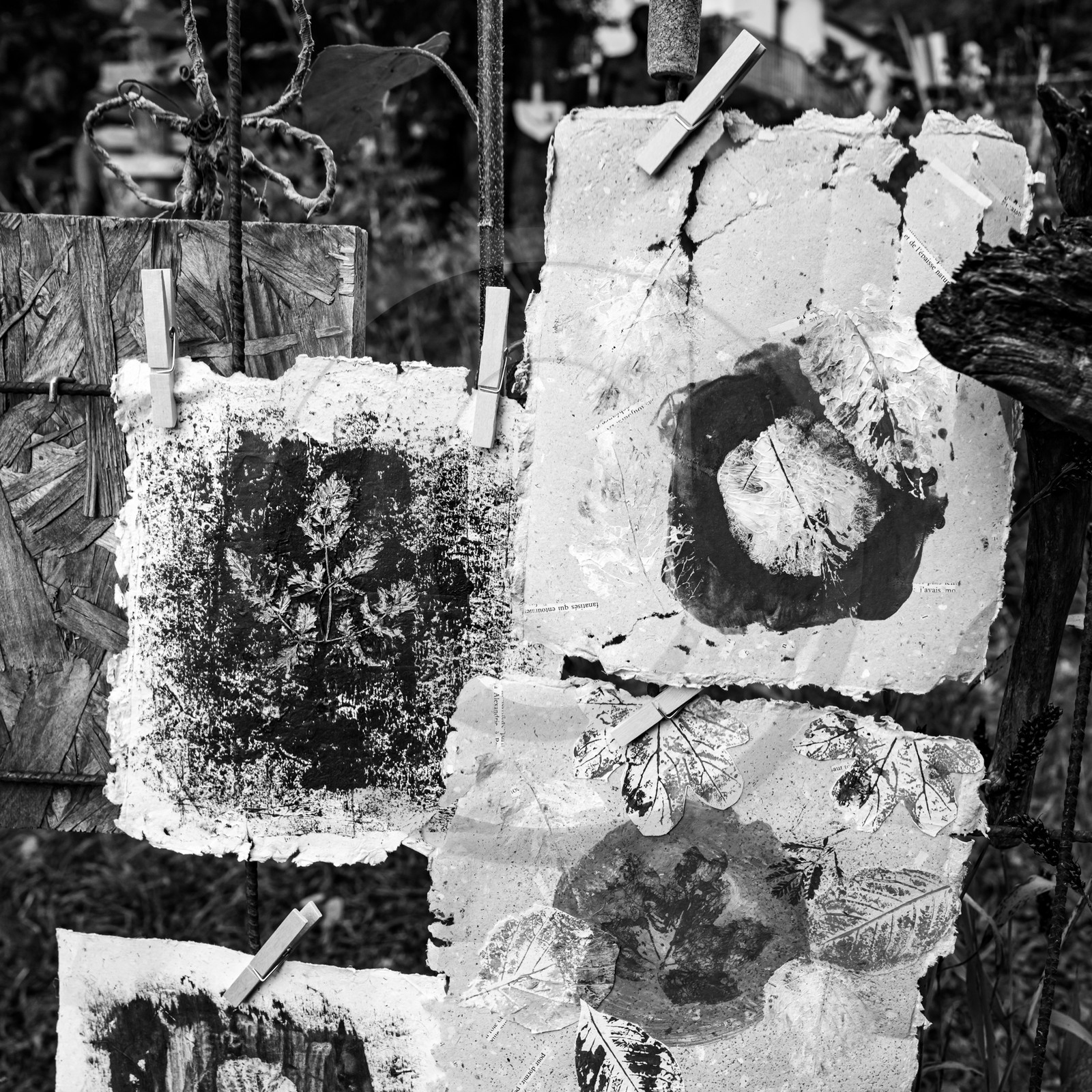 Présentation des réalisation de la saison à l'occasion de la semaine nationale des aidants - Avec la participation de Territoires Aidants