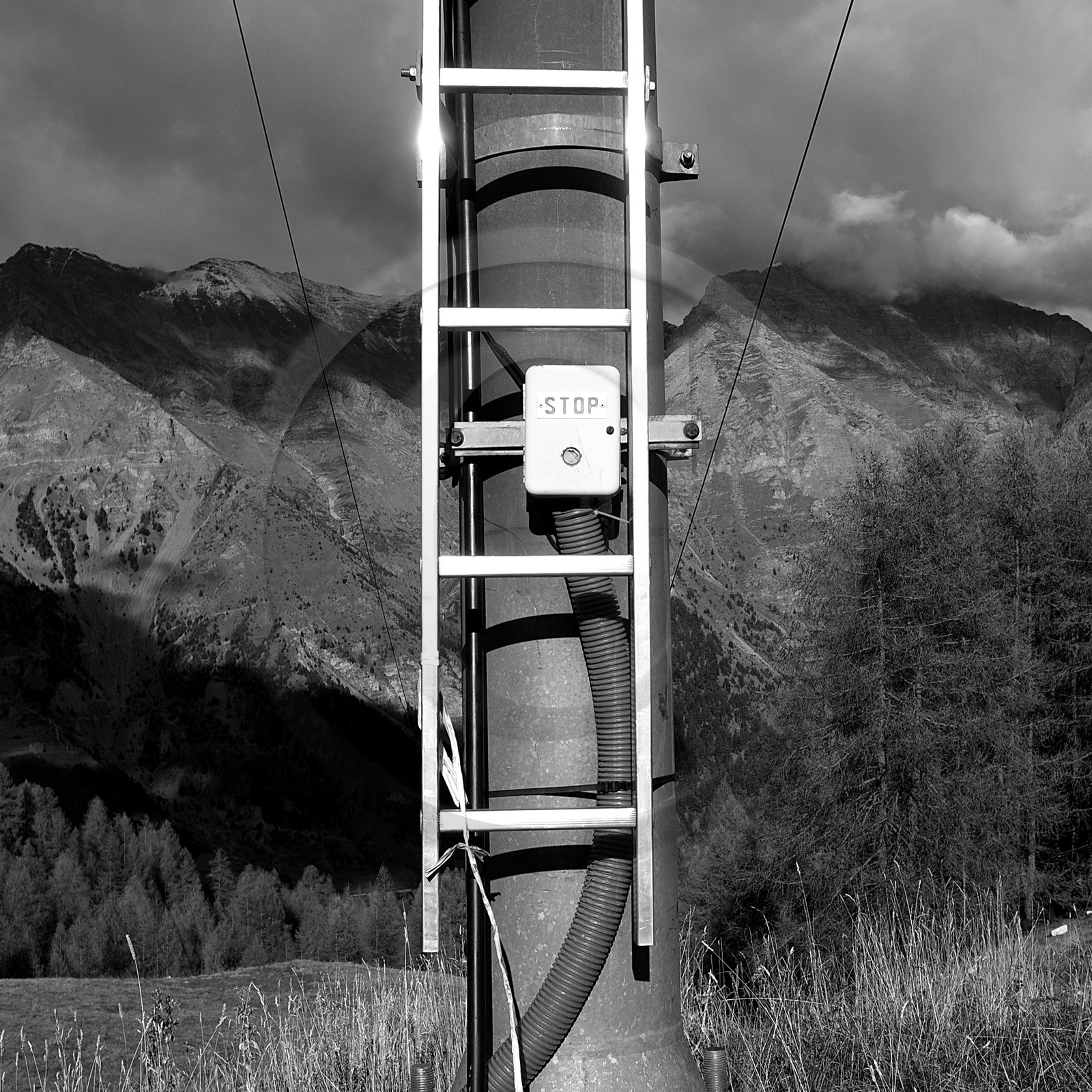 En attendant la neige