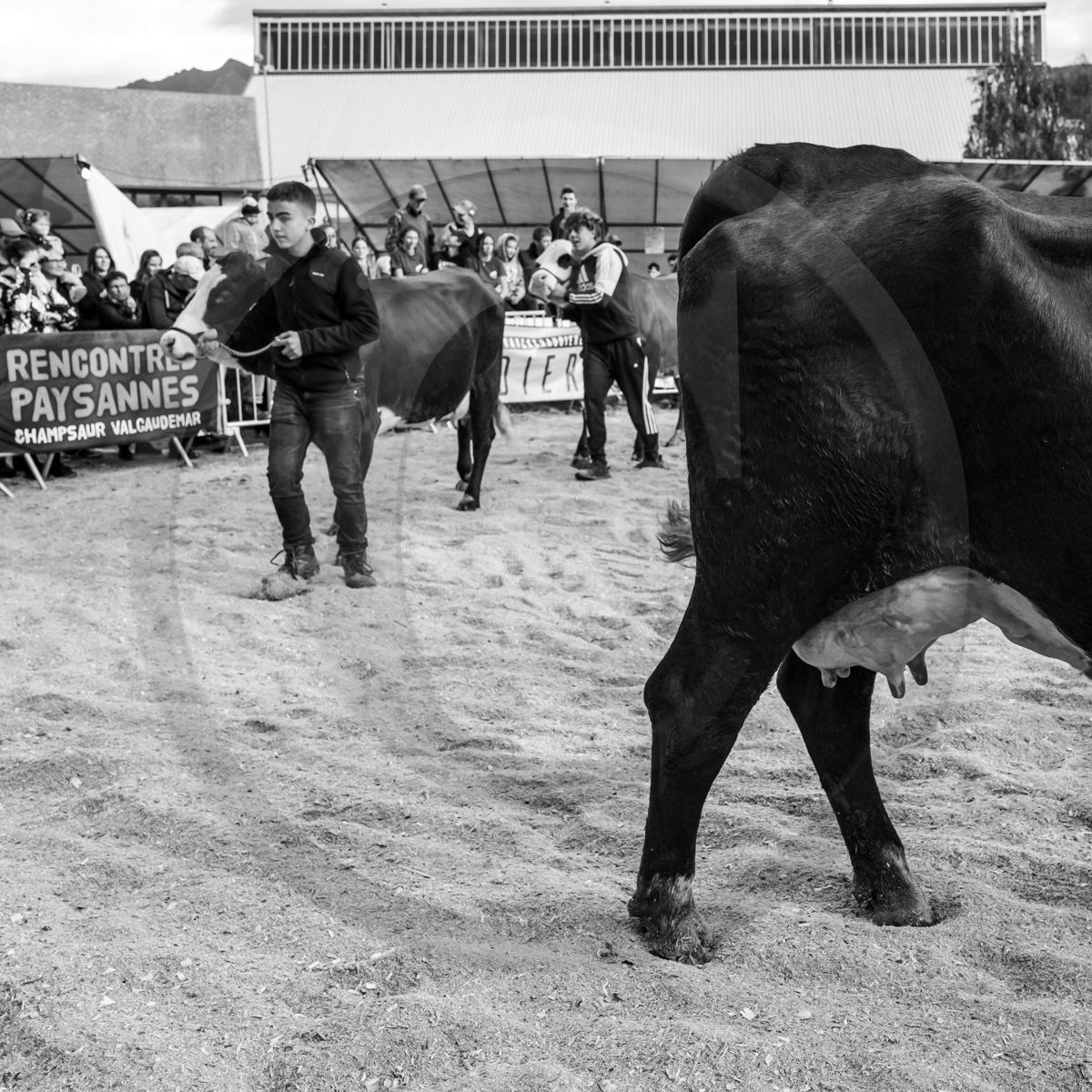 Rencontres paysannes à Saint-Bonnet en Champsaur