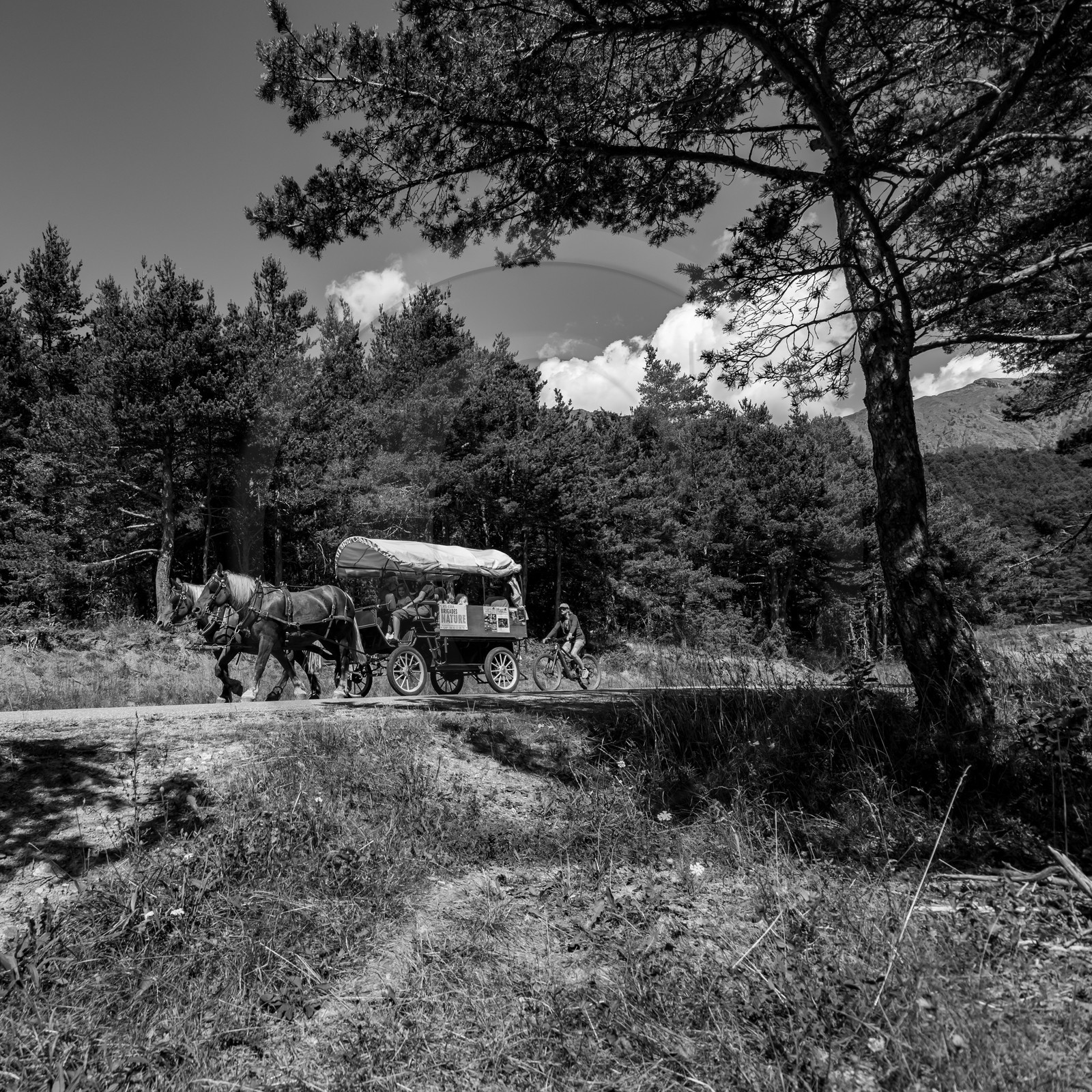 01 septembre 2021 : Promenade en cariole et contes