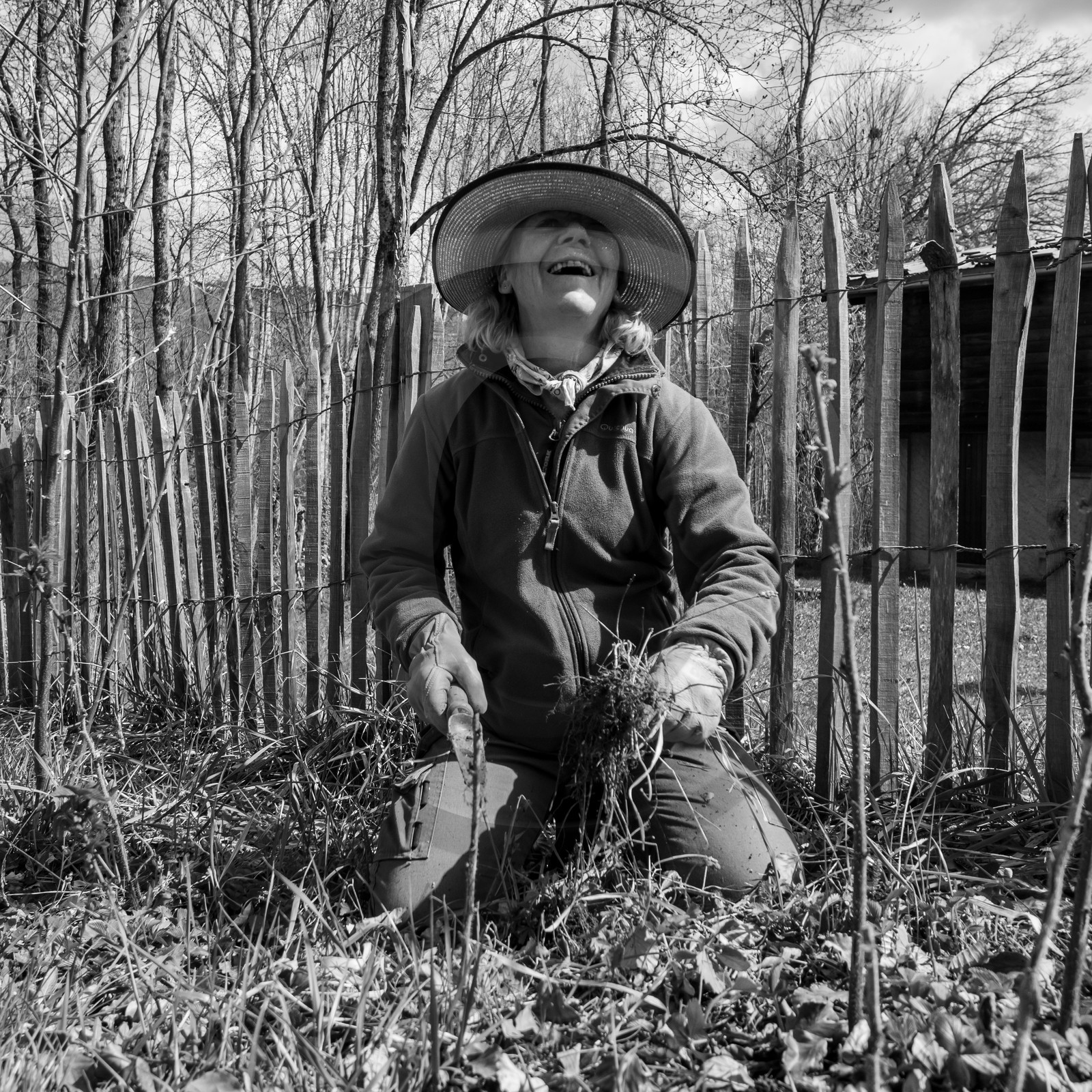 14 avril 2021 : collages, taille, jardinage