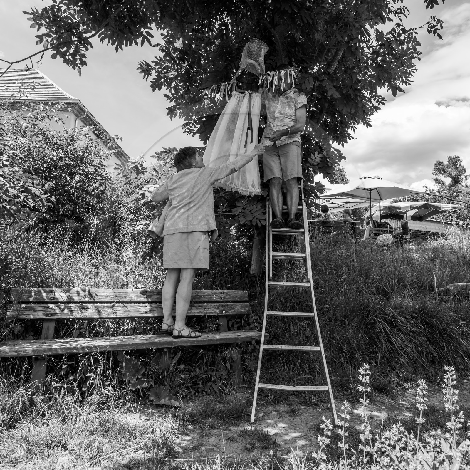 23 juin 2021 : Une après-midi à l'Ouort