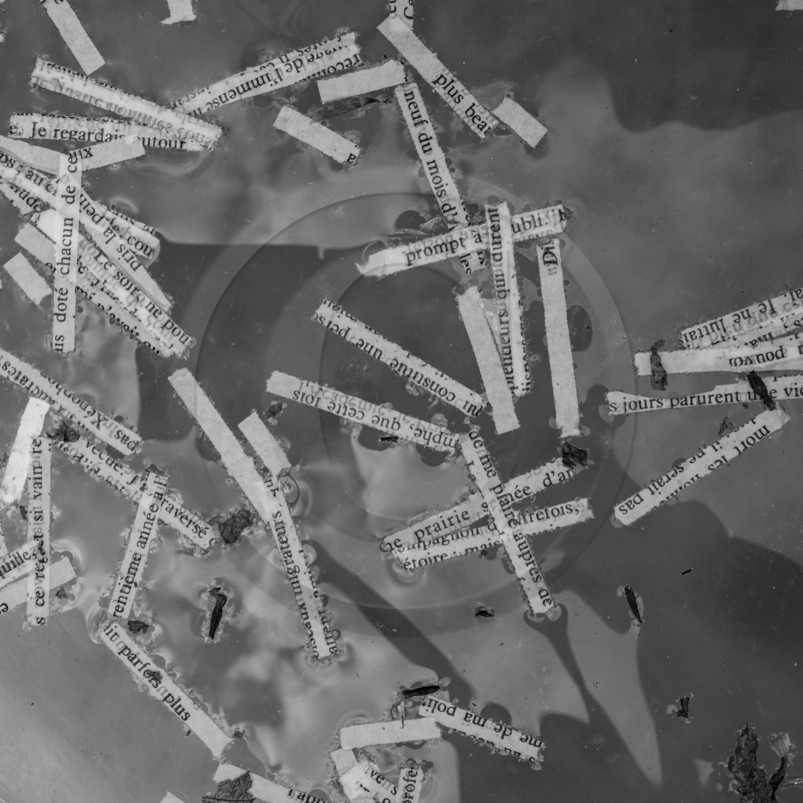 24 mai 2024 : Journée des aidants à l'Ouort