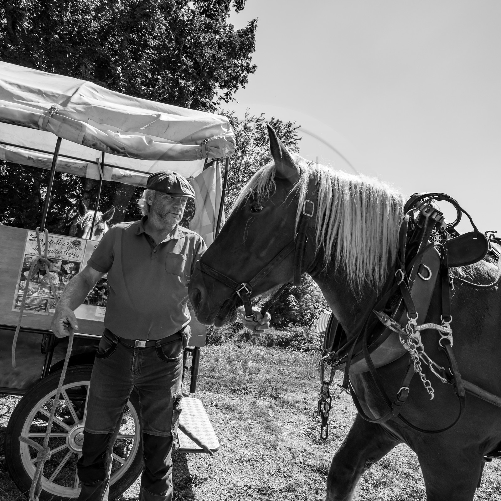 01 septembre 2021 : Promenade en cariole et contes