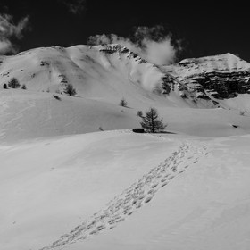 Neige au Col de Vars