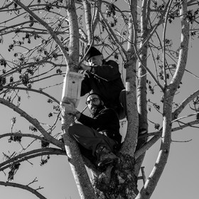 06 février 2019 : la pose des nichoirs