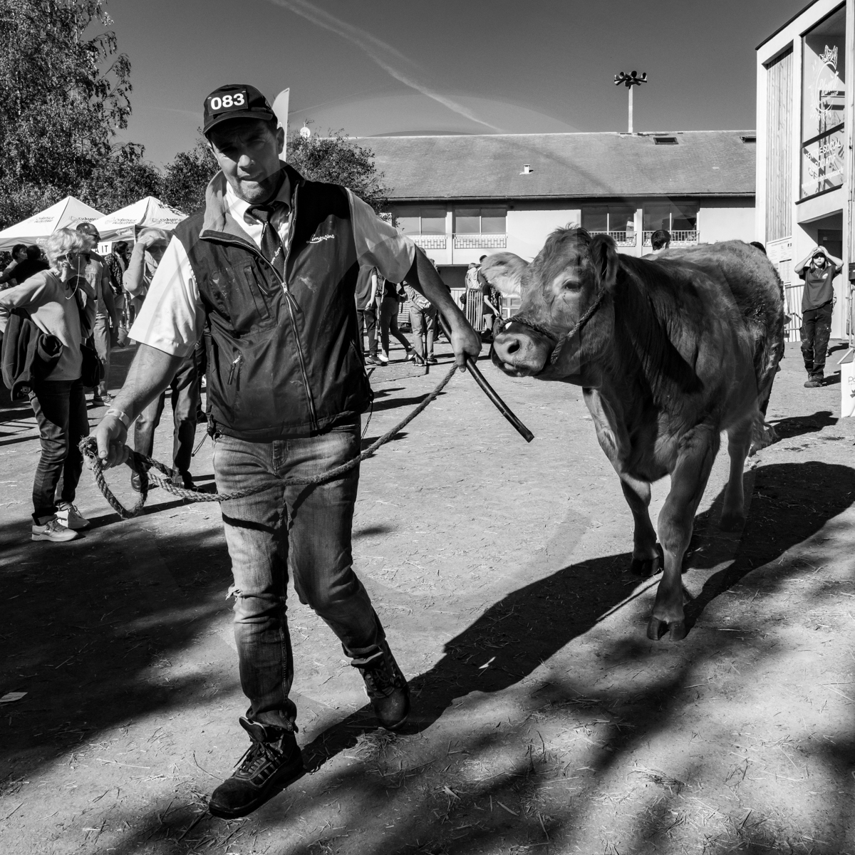 Rencontres paysannes à Saint-Bonnet en Champsaur