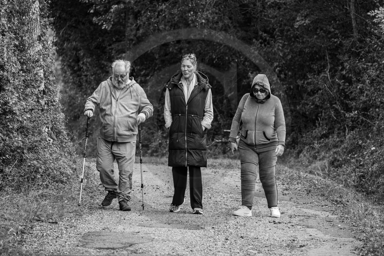 25 septembre 2024 : Promenade en joelette avec Bruno, accompagnateur en montagne et des élèves du lycée Sévigné de Gap
