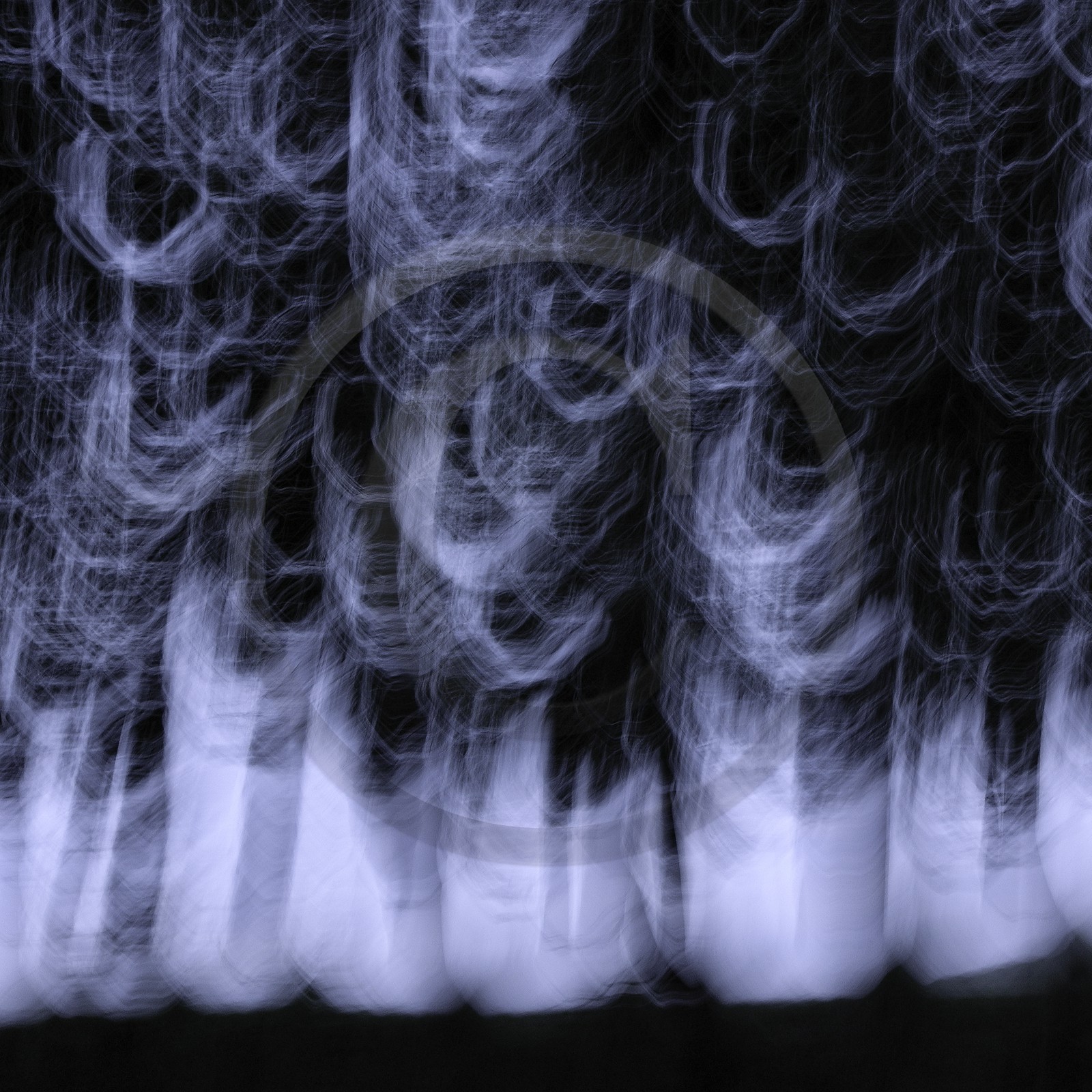 Le Pays des Arbres Flous