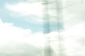 Le Pays des Arbres Flous