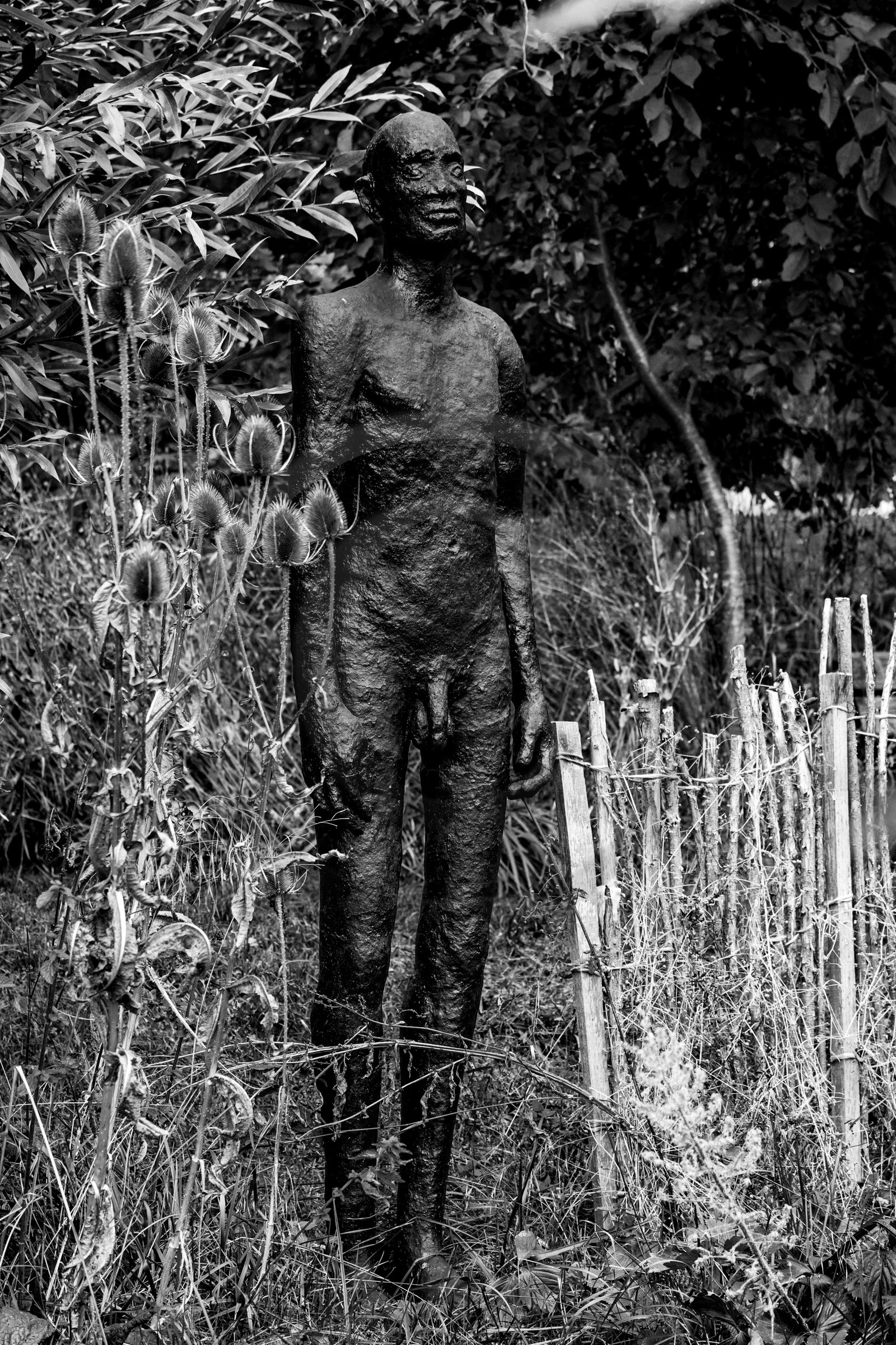 Exposition La forêt d'hommes, une création de Barbara Fougnon, artiste plasticienne